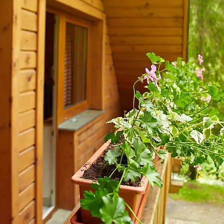 Jakub Apartament Dolina Demianowska